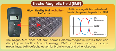 Electro-Magnetic Field