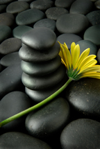 MIGUN Health Benefits