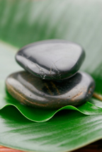 Health & Wellness
